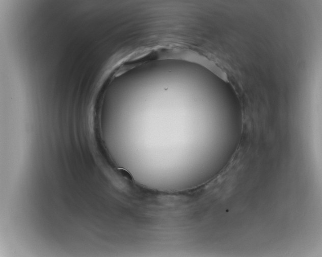 X0000113760242200910071137