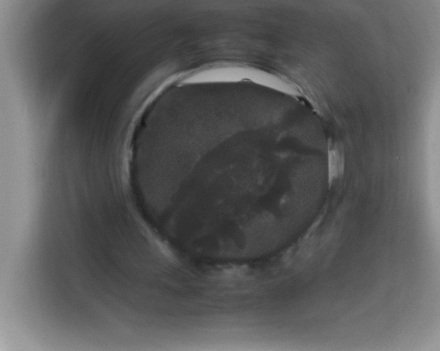 X0000113760243200910071137