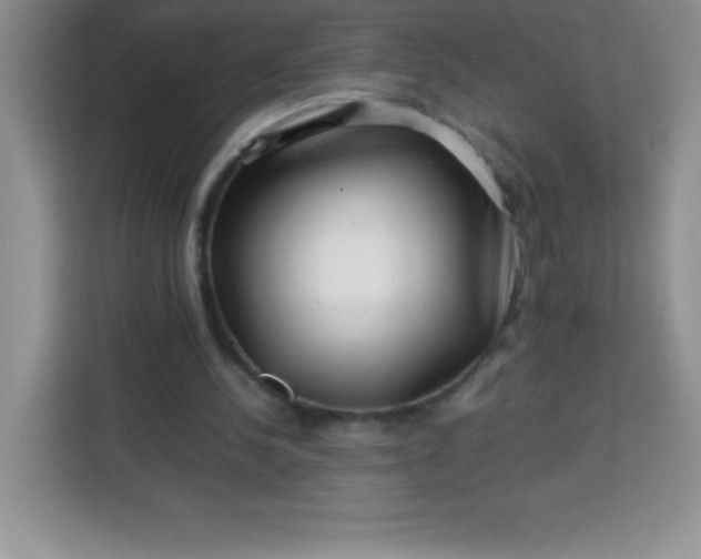 X0000113760244200910071137