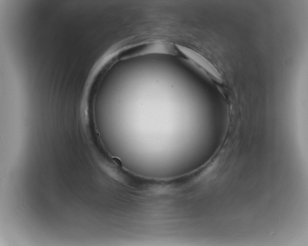 X0000113760246200910071137