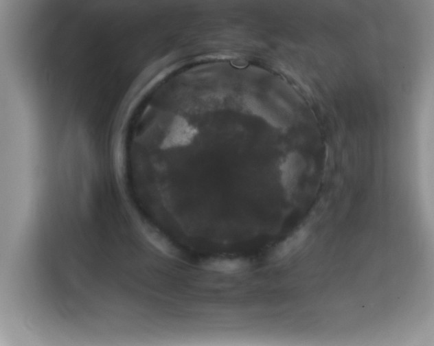 X0000113760247200910071137