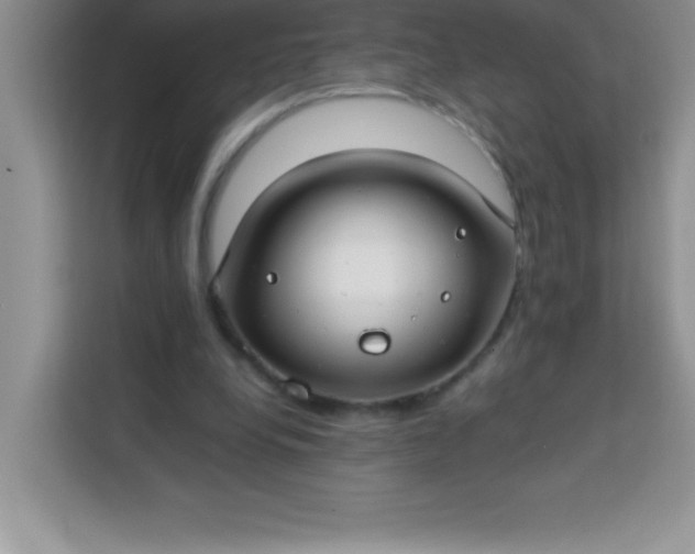 X0000113760248200910071137