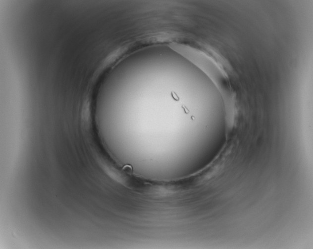X0000113760250200910071137