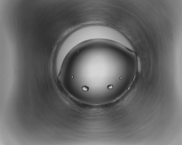 X0000113760252200910071137