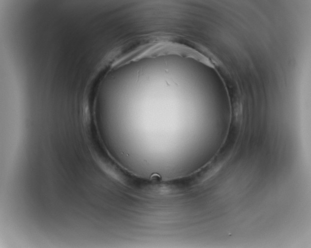 X0000113760254200910071137