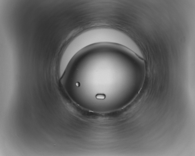 X0000113760256200910071137