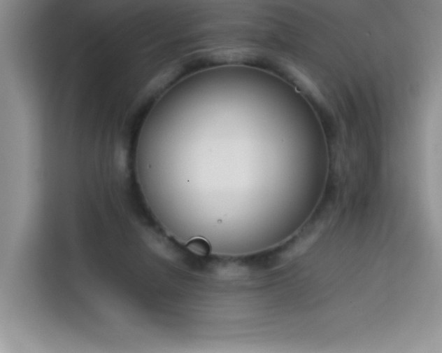 X0000113760258200910071137