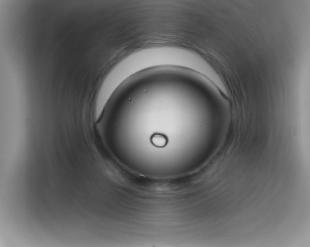 X0000113760264200910071137