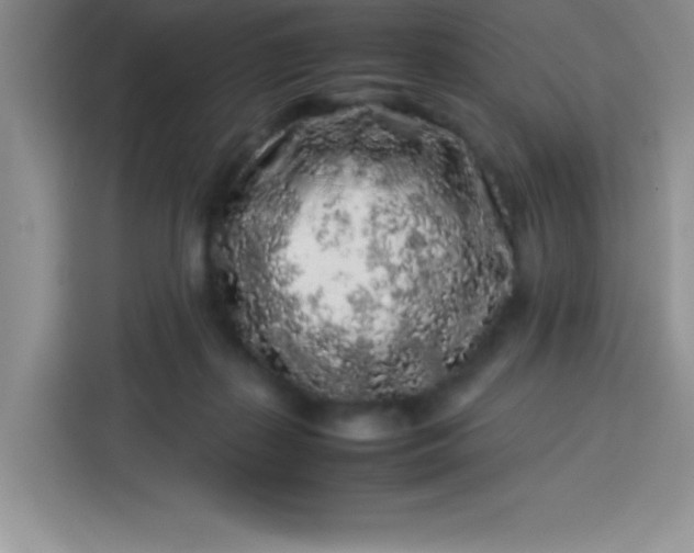 X0000113760267200910071137