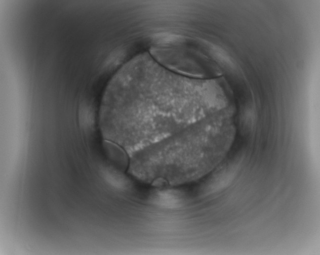 X0000113760268200910071137