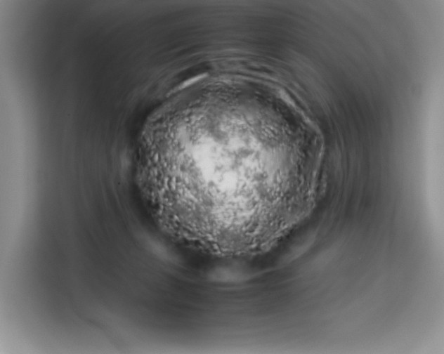X0000113760271200910071138