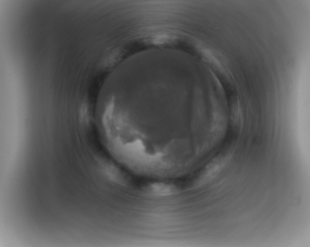 X0000113760272200910071138
