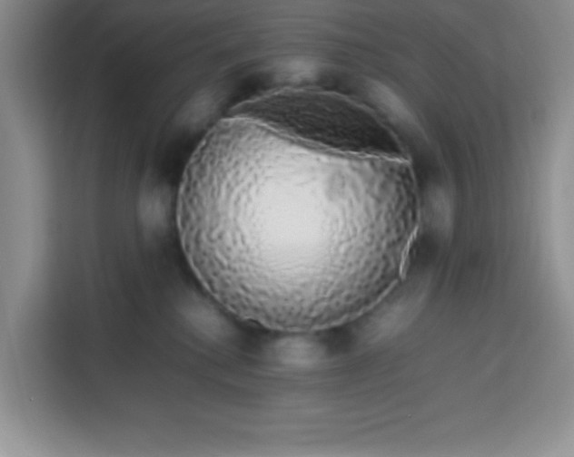 X0000113760280200910071138
