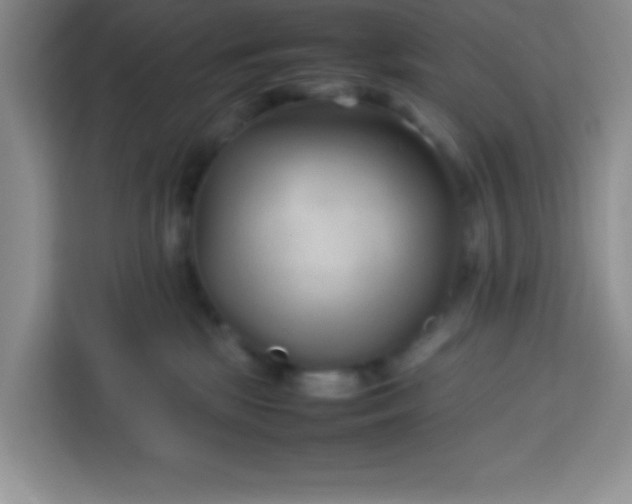 X0000113760281200910071138