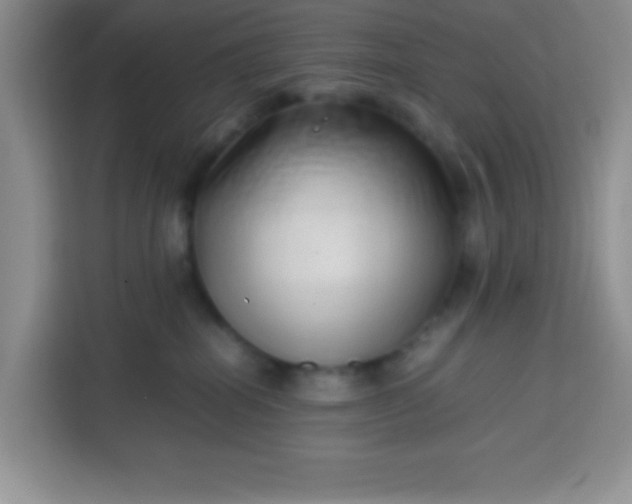 X0000113760282200910071138
