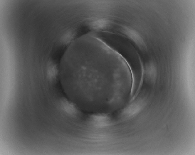 X0000113760284200910071138