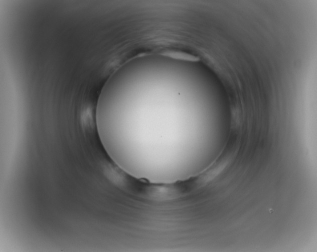 X0000113760286200910071138