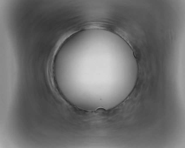 X0000113760289200910071137