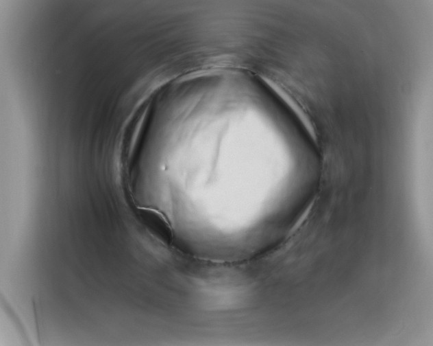 X0000113760290200910071137