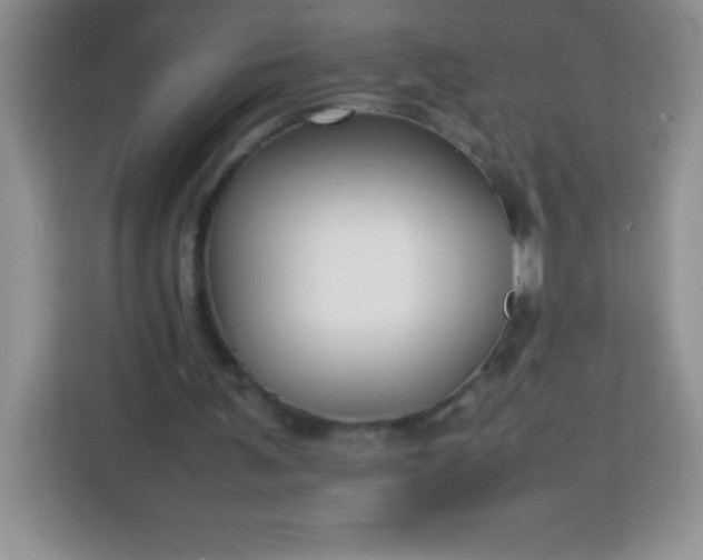 X0000113760291200910071137