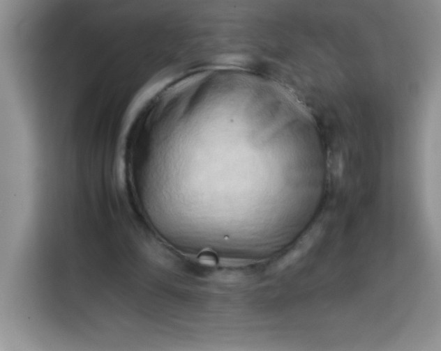 X0000113760294200910071137