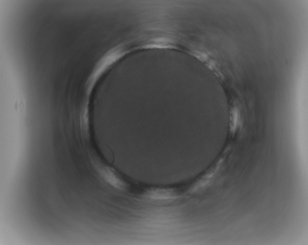 X0000113760296200910071137