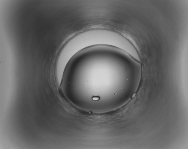 X0000113760297200910071137