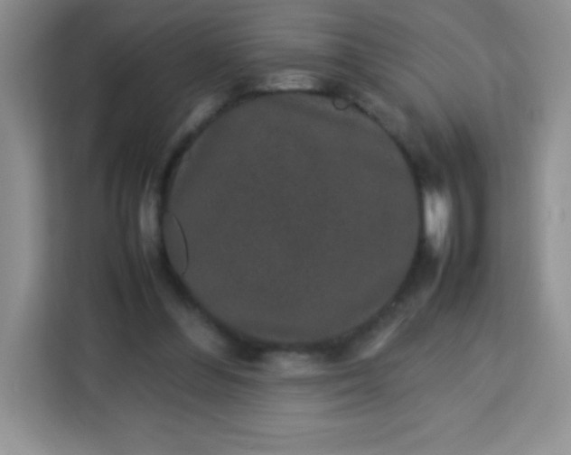 X0000113760300200910071137