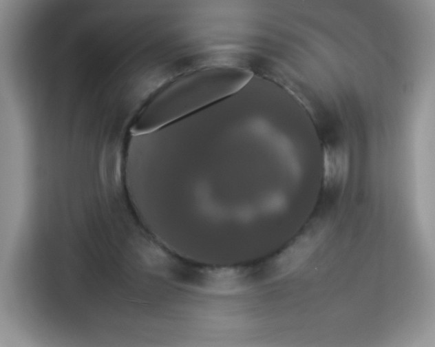 X0000113760301200910071137
