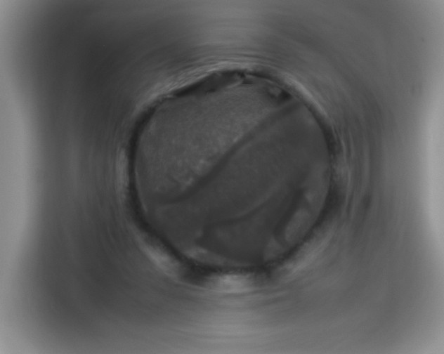 X0000113760303200910071137