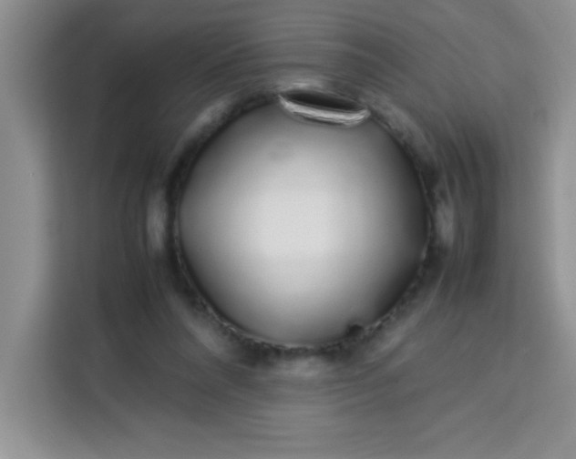X0000113760304200910071137