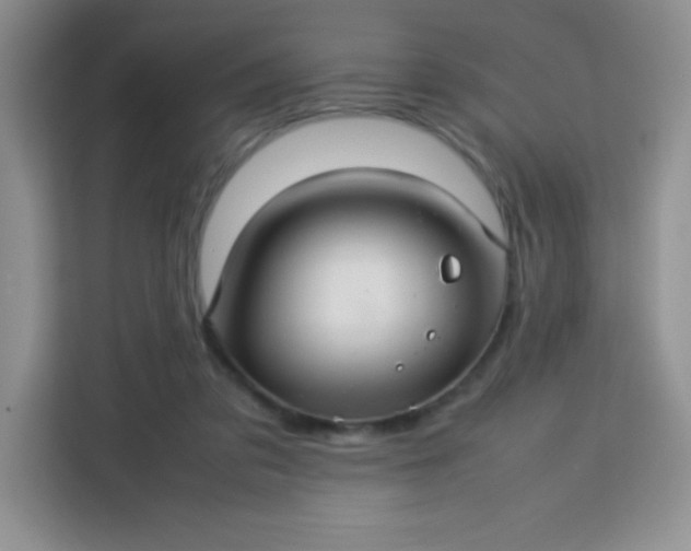 X0000113760309200910071137