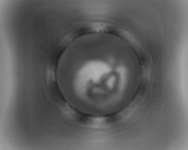 X0000113760313200910071137