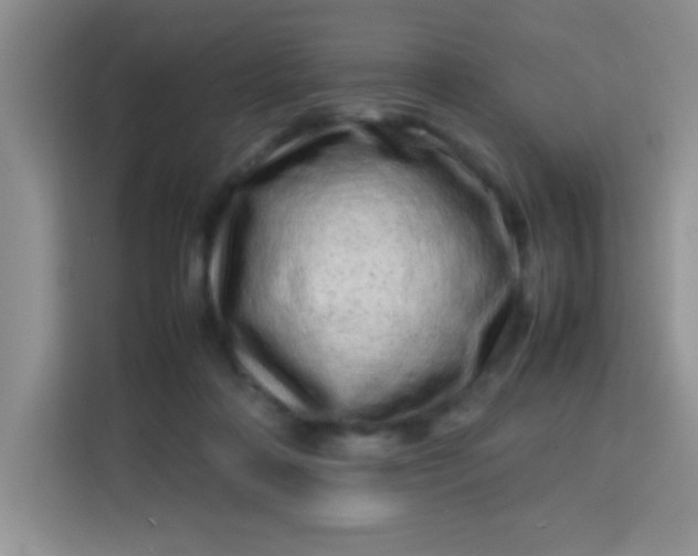 X0000113760314200910071137