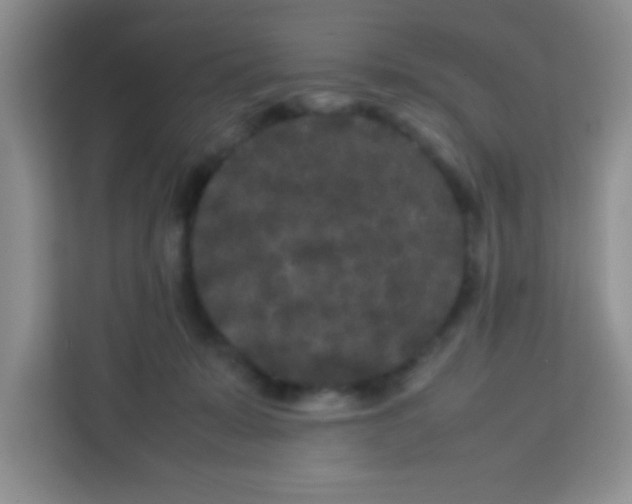 X0000113760319200910071137