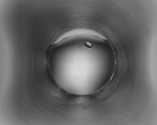 X0000113760320200910071137