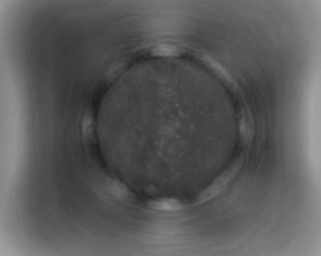 X0000113760322200910071137