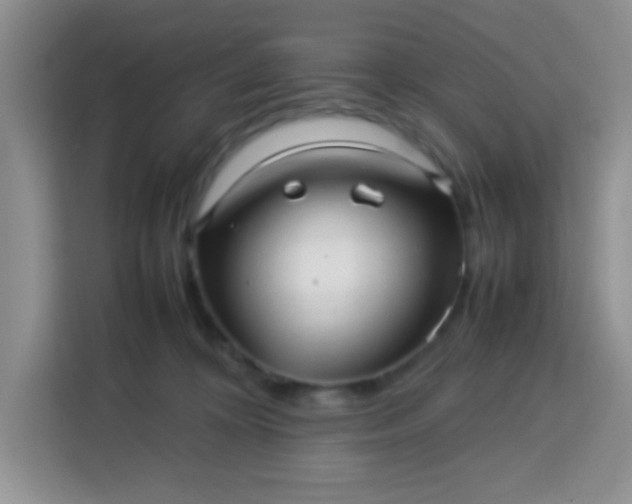 X0000113760324200910071137
