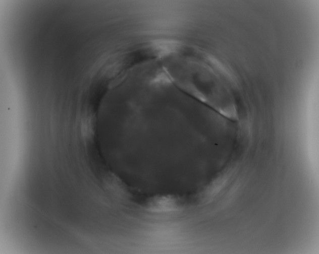 X0000113760325200910071137