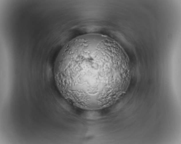 X0000113760327200910071137
