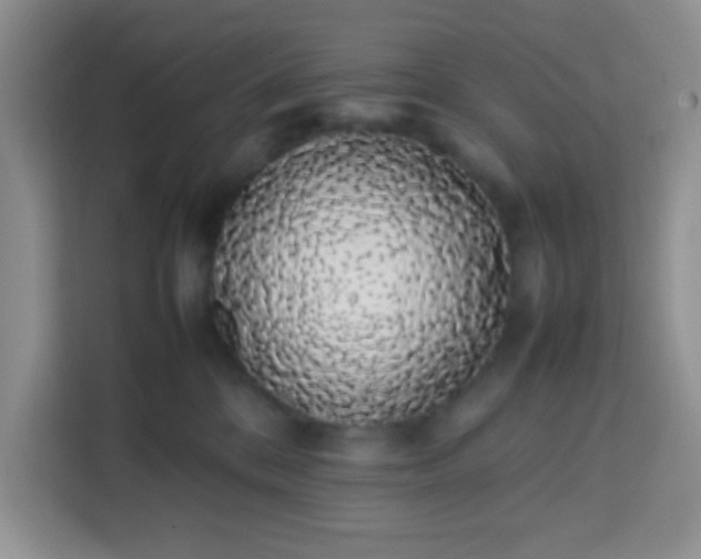 X0000113760328200910071137