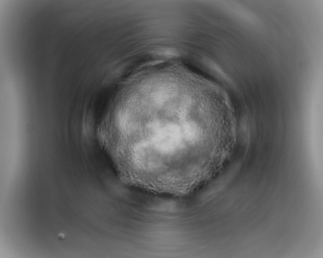 X0000113760330200910071137