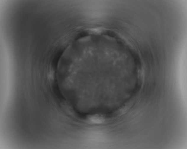 X0000113760331200910071137