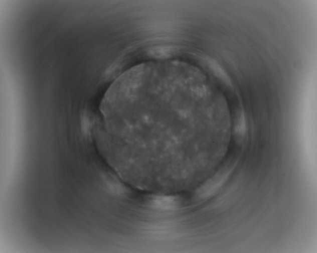 X0000113760332200910071137