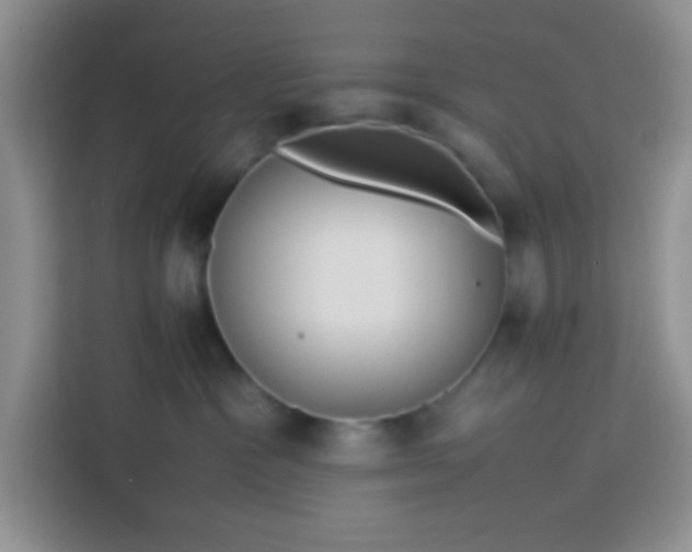 X0000113760333200910071137