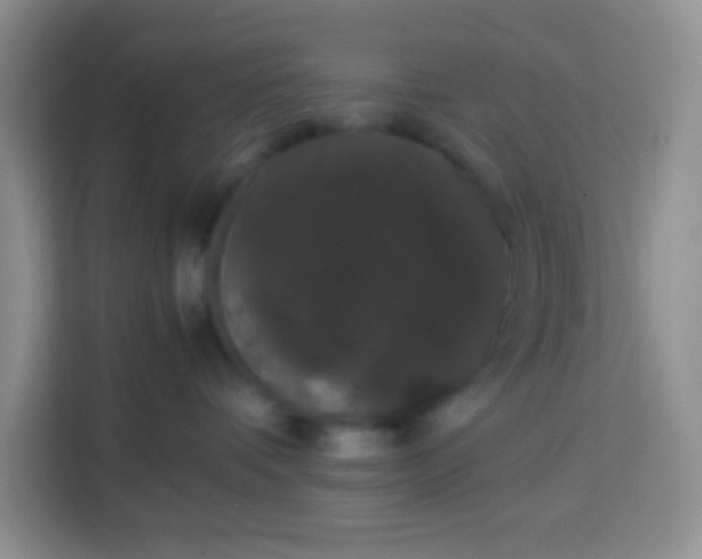 X0000113760336200910071136