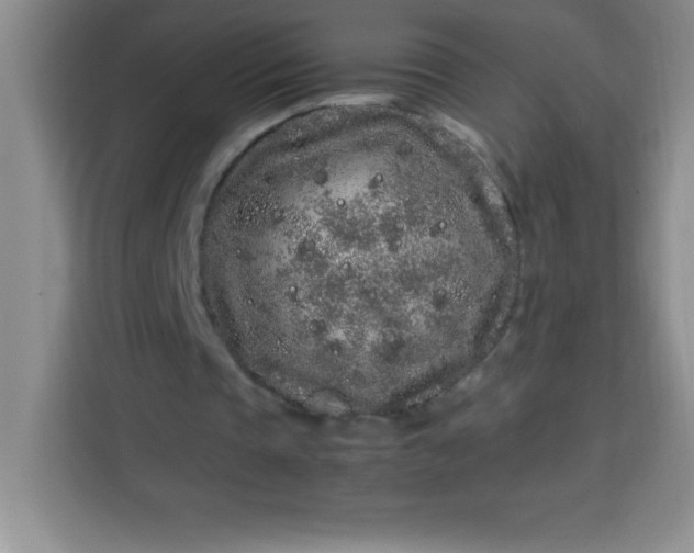 X0000113760337200910071136