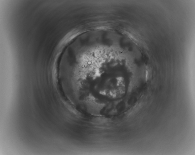 X0000113760339200910071136