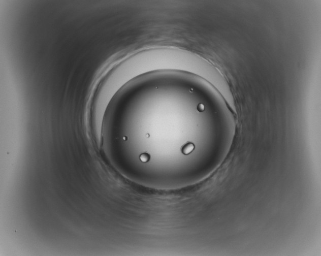 X0000113760340200910071136