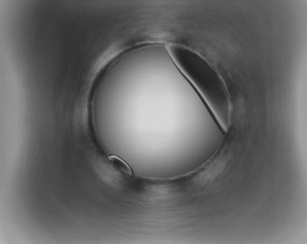 X0000113760344200910071136